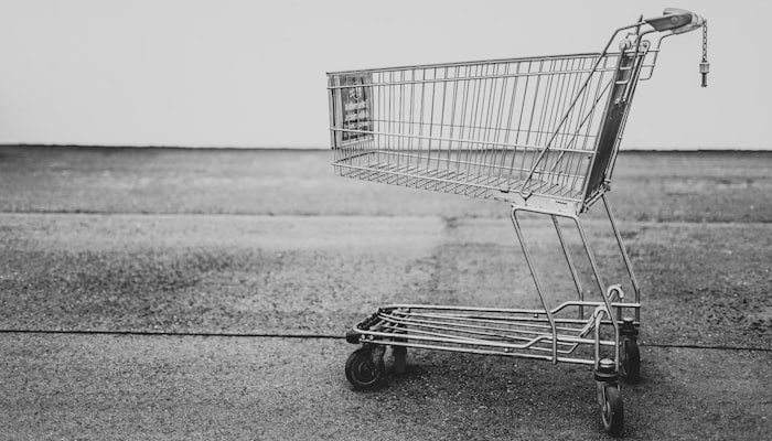 Elevate your Ecommerce Platform with Magento